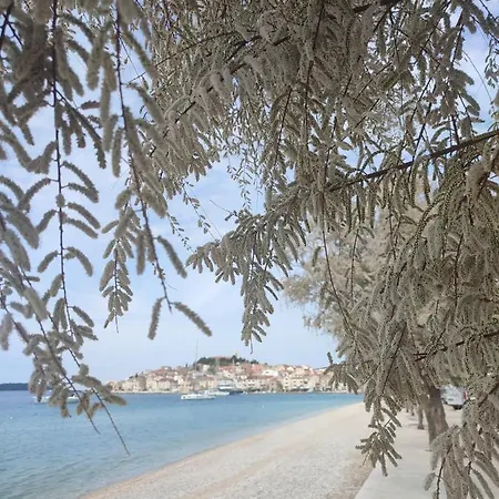 Studioeni Appartement *