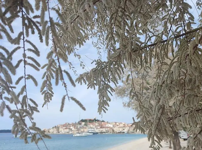 Studioeni Apartamento *